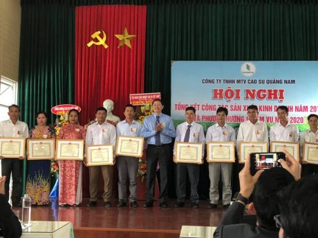Cao su Quảng Nam quyết tâm hoàn thành 3380 tấn mủ năm 2020